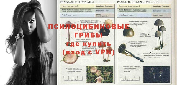 MDMA Алексин