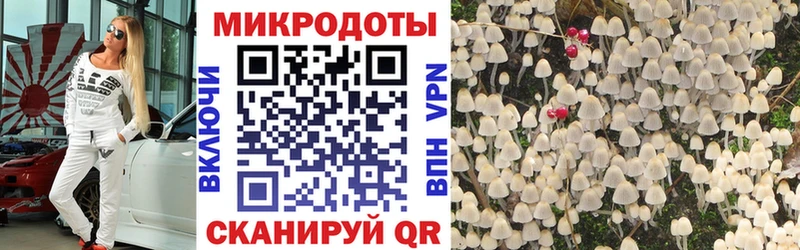 гидра ONION  где можно купить наркотик  Фрязино  Псилоцибиновые грибы MAGIC MUSHROOMS 