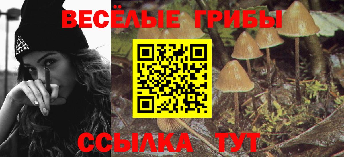 Псилоцибиновые грибы Psilocybine cubensis Фрязино